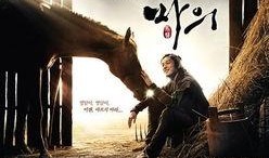 马医韩剧手机在线观看,宫廷医术传奇，手机在线观看，重温古代医术魅力